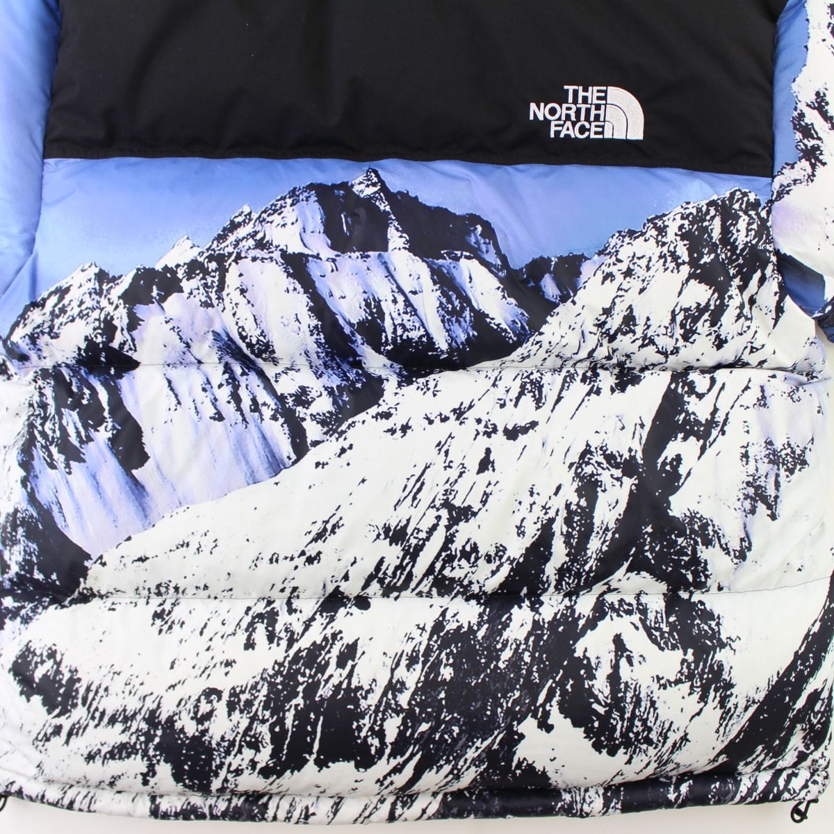 Supreme x TNF Moutain Nupste - SaruGeneral